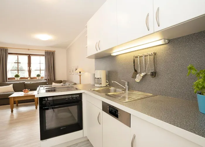 Ostseegarten Goldulme * Kellenhusen